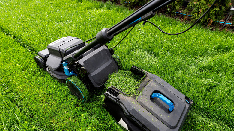 a lawn mower cuts through wet grass
