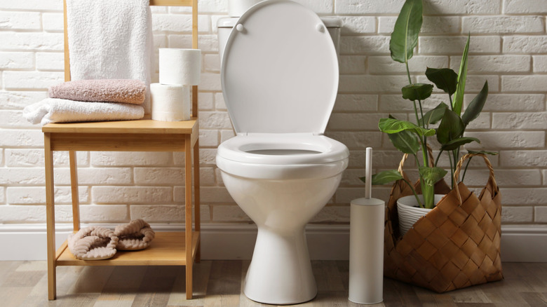 Toilet brush in container next to white toilet, plant, and wooden shelf