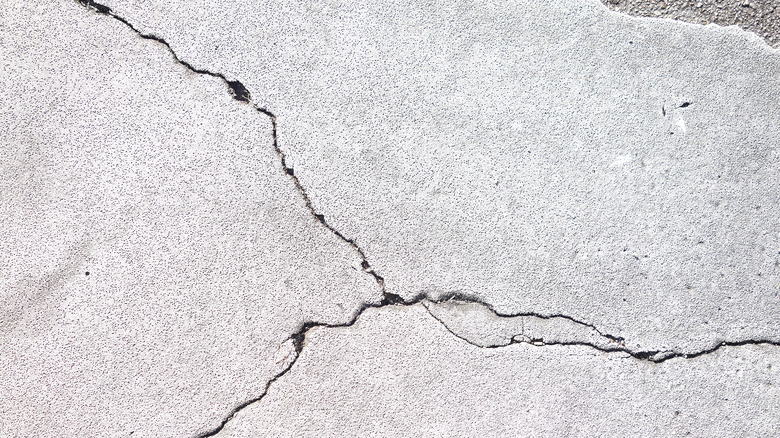 Closeup of sidewalk crack