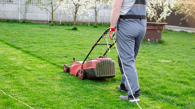A man is mowing a vibrant green lawn using an electric mower