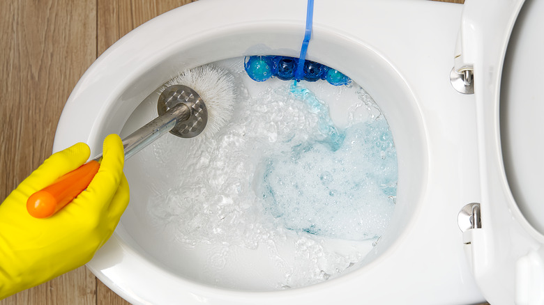 hand cleaning toilet with brush