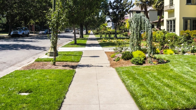 A sidewalk in front of houses in sunny residential neighborhood