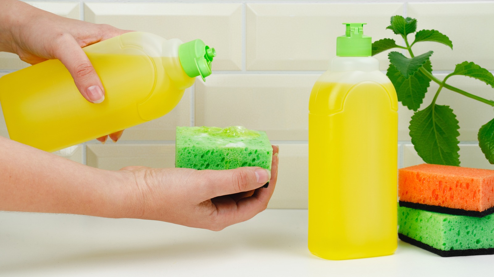 How Often Should You Replace Your Dish-Washing Sponge?