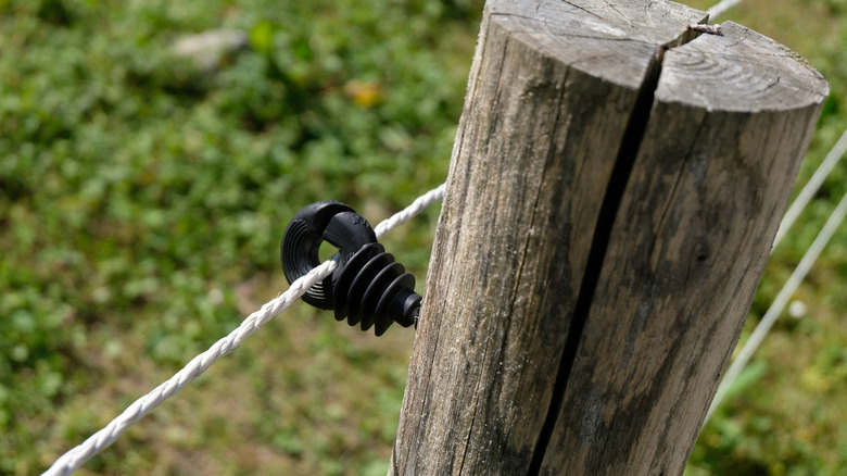 simple electric fence insulator 