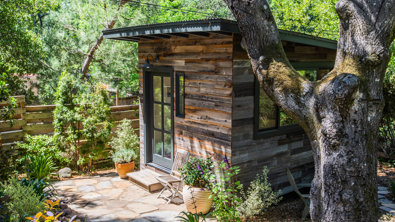 Tiny house in backyard