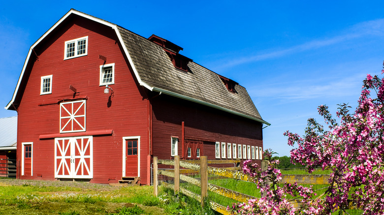 Red barn in garden scene