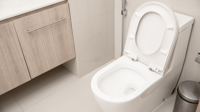 White one-piece toilet 