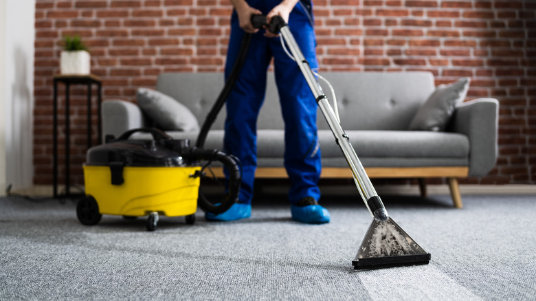 professional cleaning carpet in home