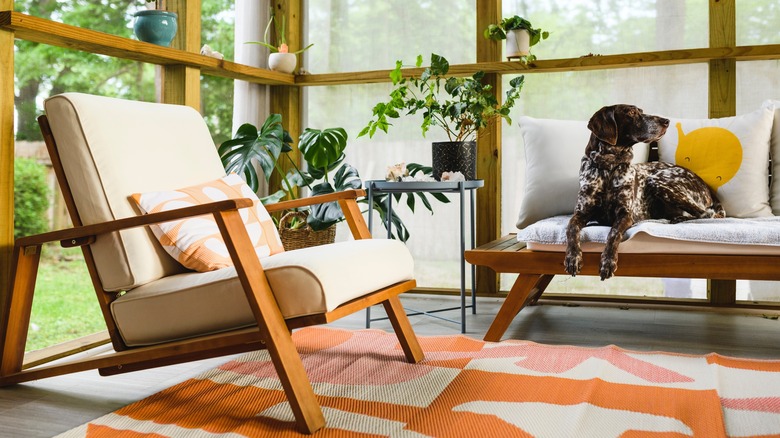 Dog on couch inside porch