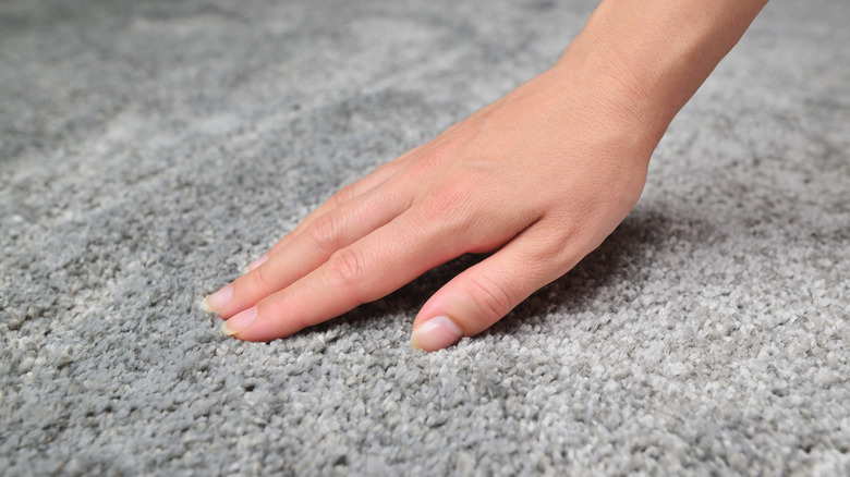 touching a carpet