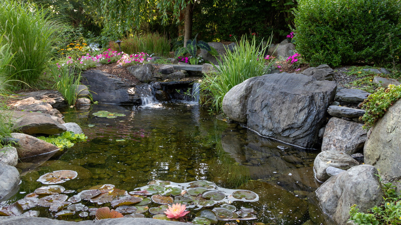 The Benefits of Adding a Stream to Your Pond