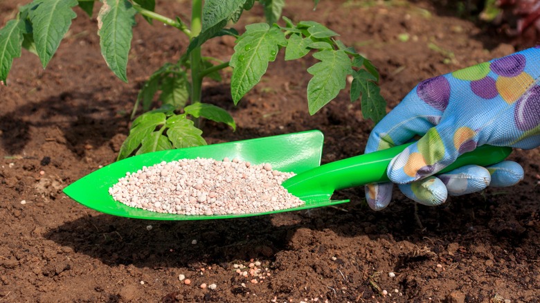 Hand holding trowel containing fertilizer