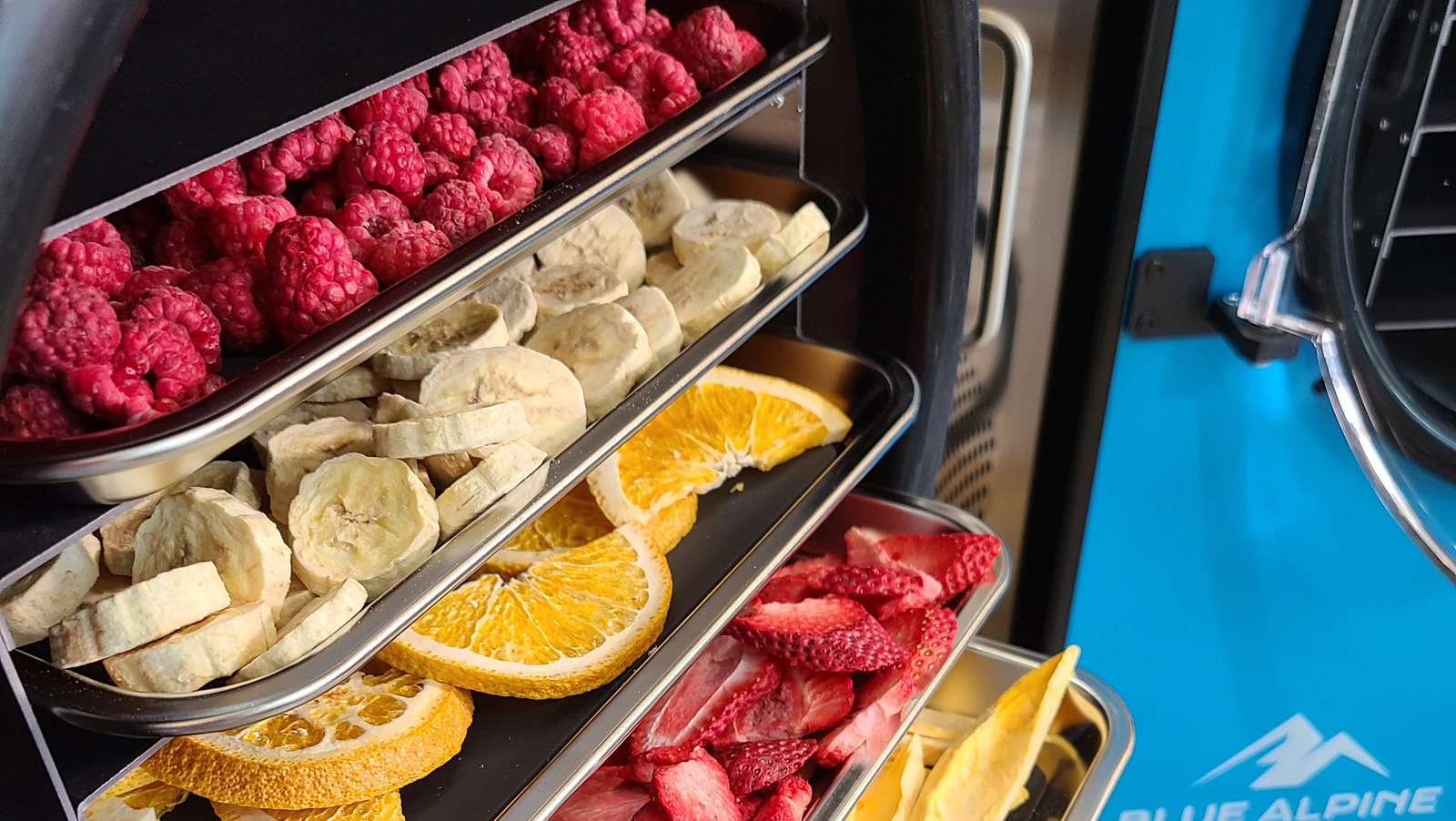 How Much Freeze Dryers Typically Cost (& The Best Spot To Put One In Your Home)