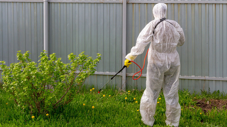 Person wearing protective gear spraying for pests