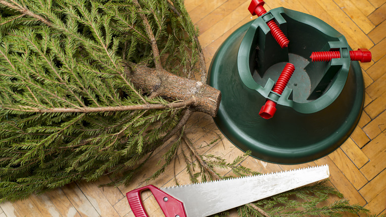 Christmas tree next to saw and stand