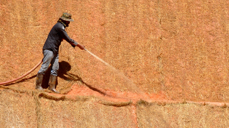 person spraying hydroseed on a lawn