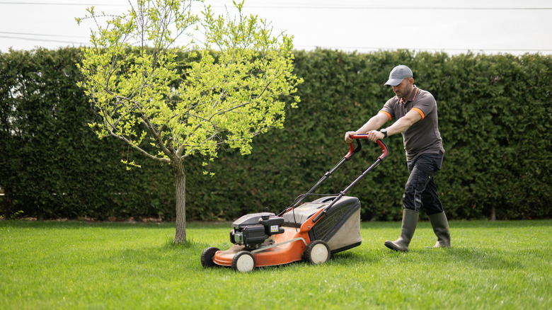person mowing their lawn