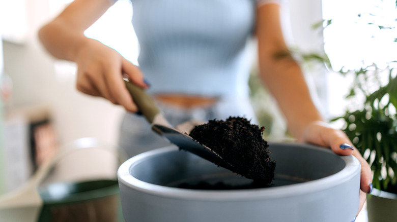 Woman troweling potting soil into a planter.