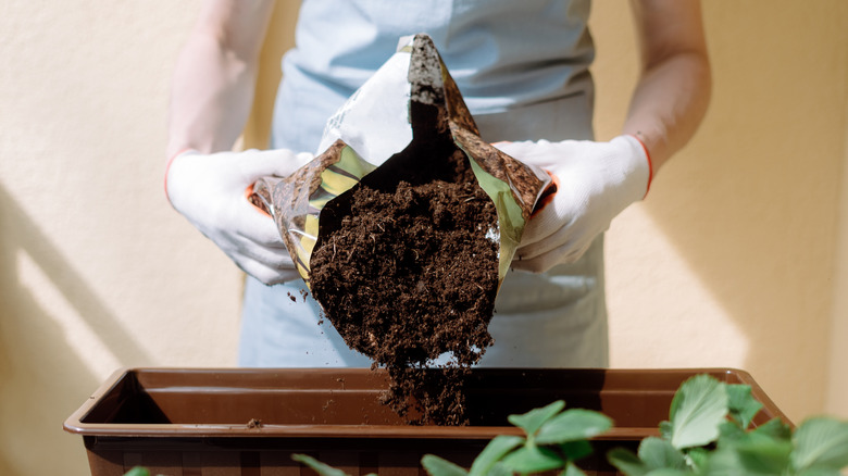 Woman pouring potting soil into a planter.