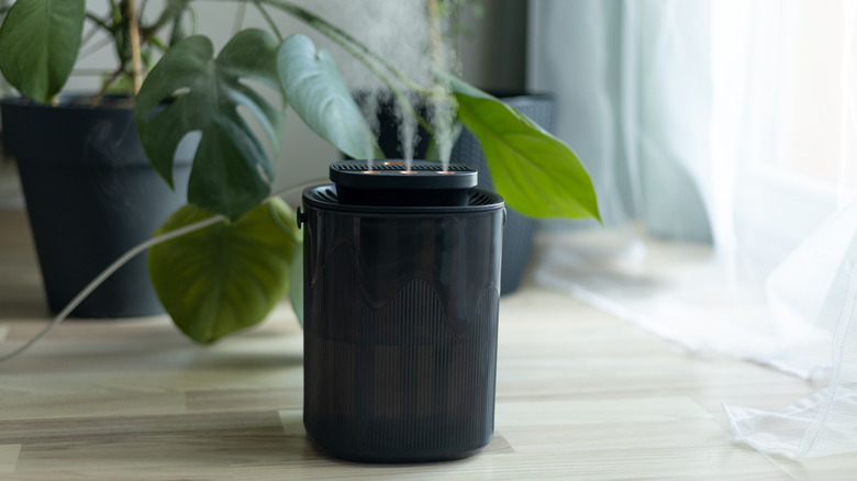 A modern humidifier at home, moistens dry air surrounded by indoor Monstera houseplant.