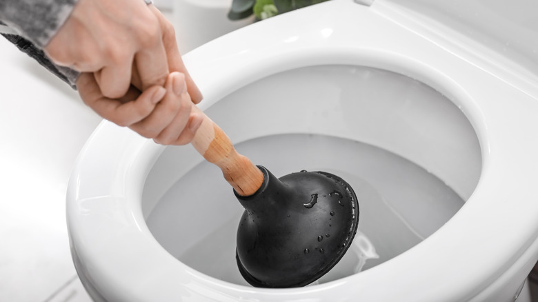 Plunger being used in toilet