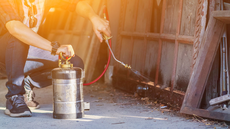 Person spraying for termites