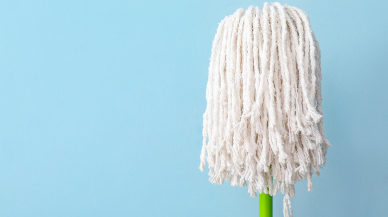 A mop head