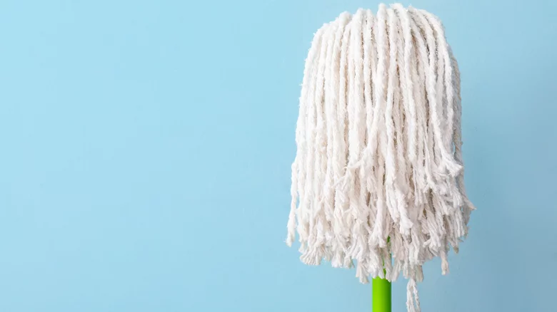 Why Do You Need To Change Mop Head? – Advantages of Changing Mop Head!