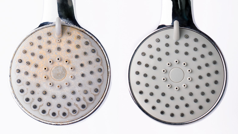 How Often Should I Change My Shower Head? Essential Tips
