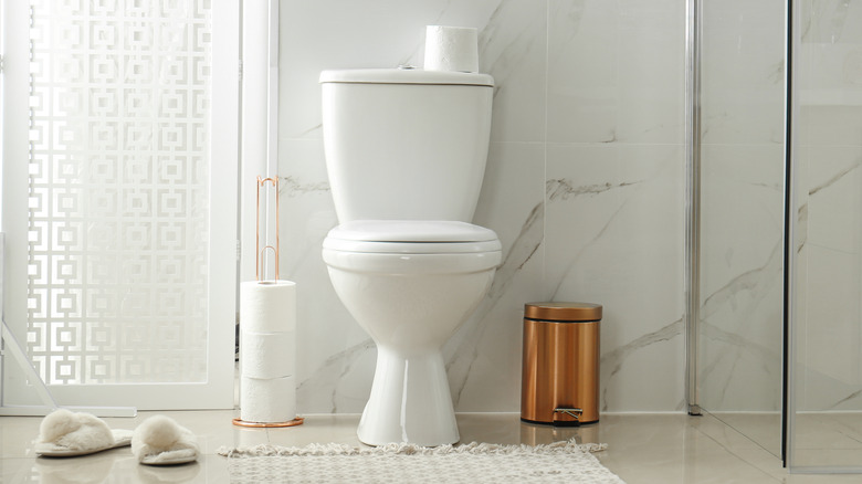 How Often Should I Clean My Toilet?