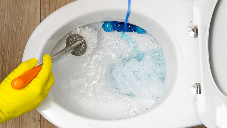 close up on toilet bowl cleaning