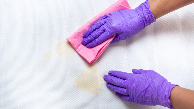 Person cleaning a stain off a mattress