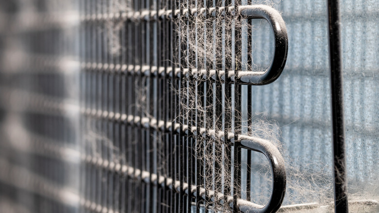 dirty refrigerator coils with hair