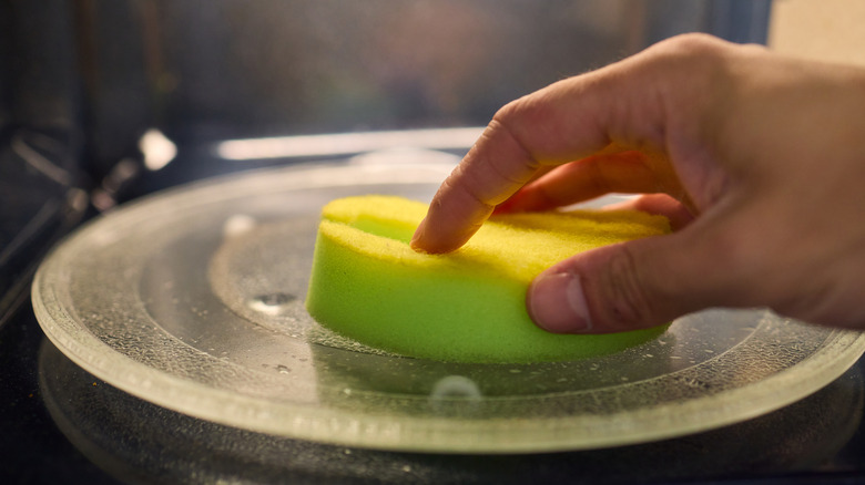 A person's hand places a sponge in a microwave for disinfection.