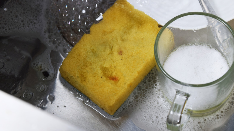 A wet, dirty sponge sits in soapy water along with dirty dishes