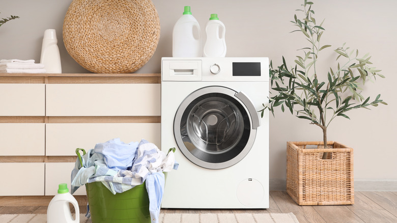A laundry room with plants, laundry basket, and a front-load washer
