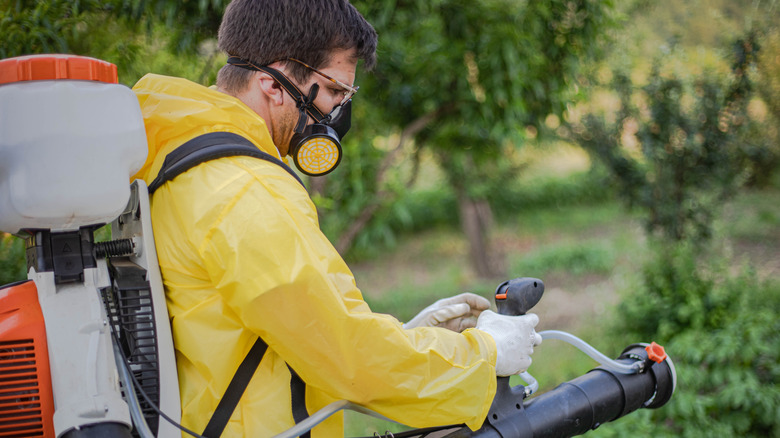 Man with respirator and spray tank near trees and shrubs