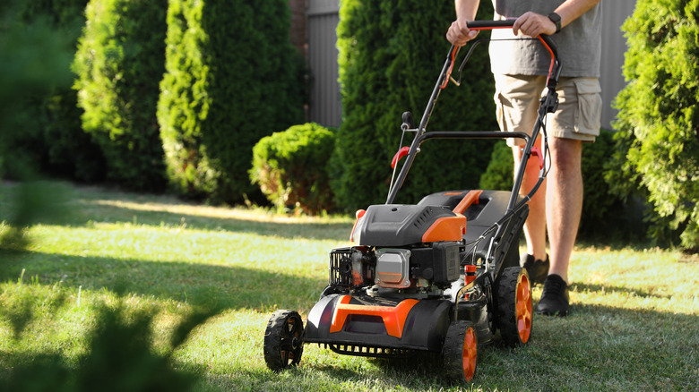 Man mowing lawn with push mower