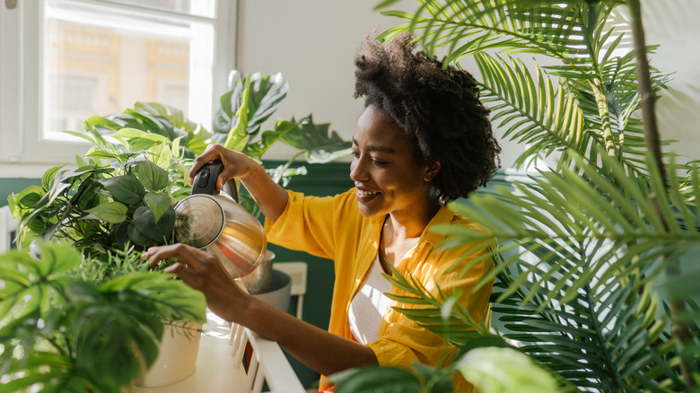 Woman watering houseplants