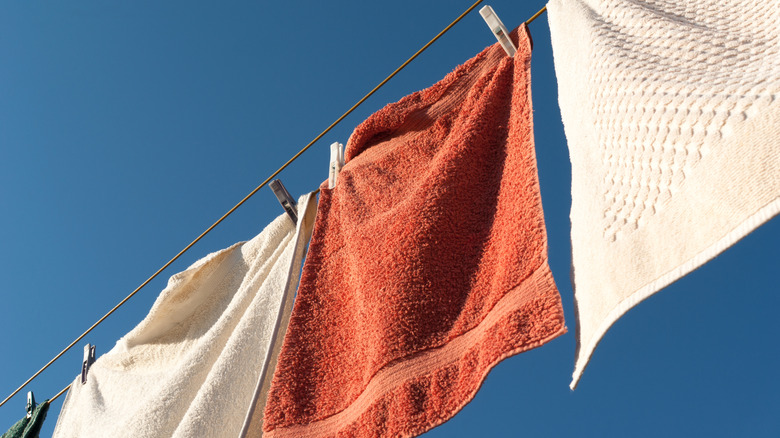 Towels line drying in the sun