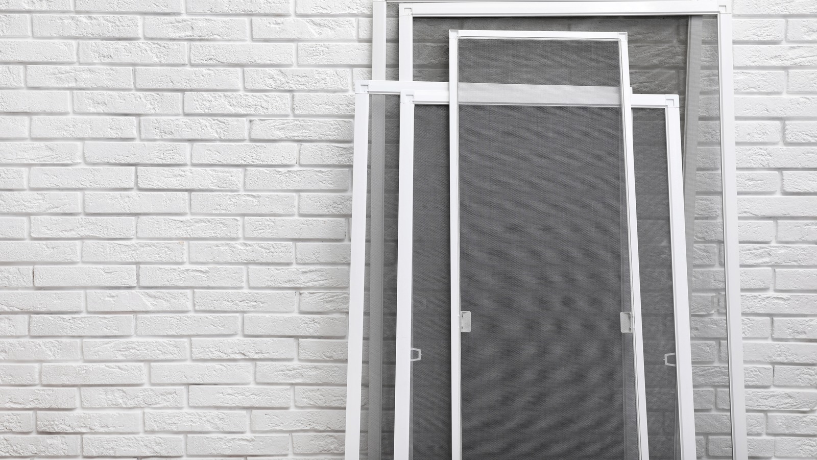 How to Make Your Own Dryer Sheets in 5 Minutes or Less TrendRadars