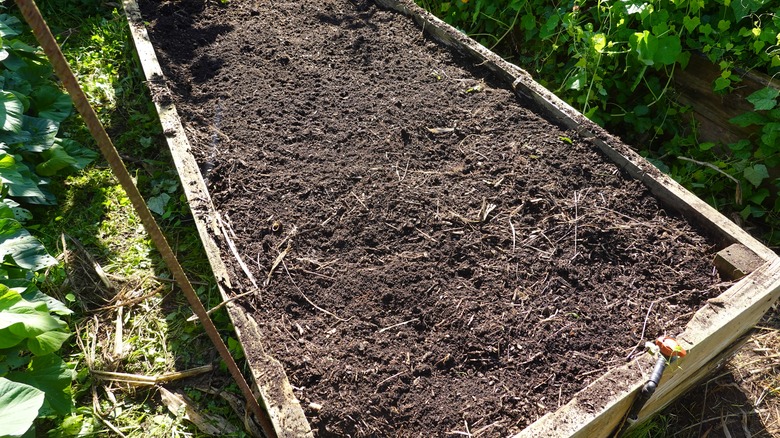 Raised garden bed with fresh compost on top