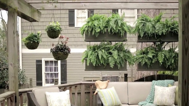 Hanging planter boxes with lush green plants inside