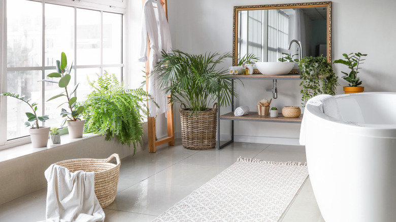 bathroom filled with plants