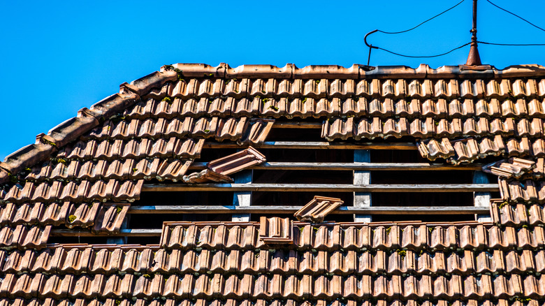 Shingle roof with signs of wear