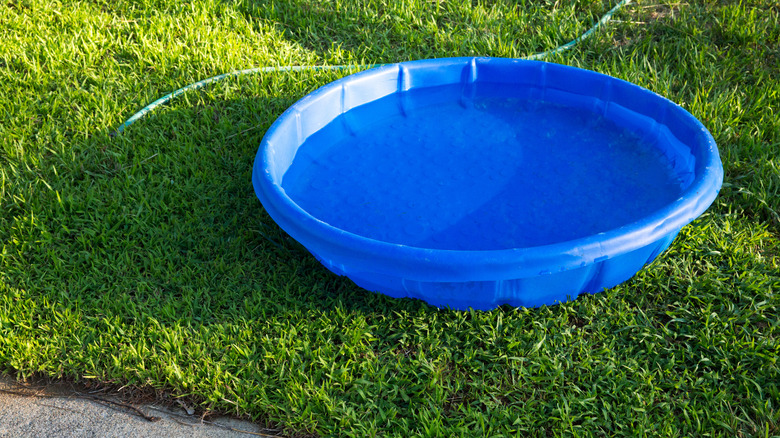 A blue plastic kiddie pool full of water in the grass with a garden hose nearby.