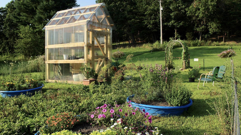 A garden with several beds, including kiddie pool garden beds and a greenhouse.