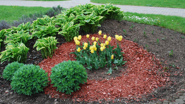 A garden bed with multiple different colors of mulch