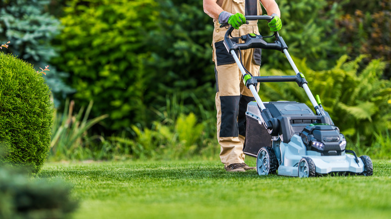 Man cutting grass