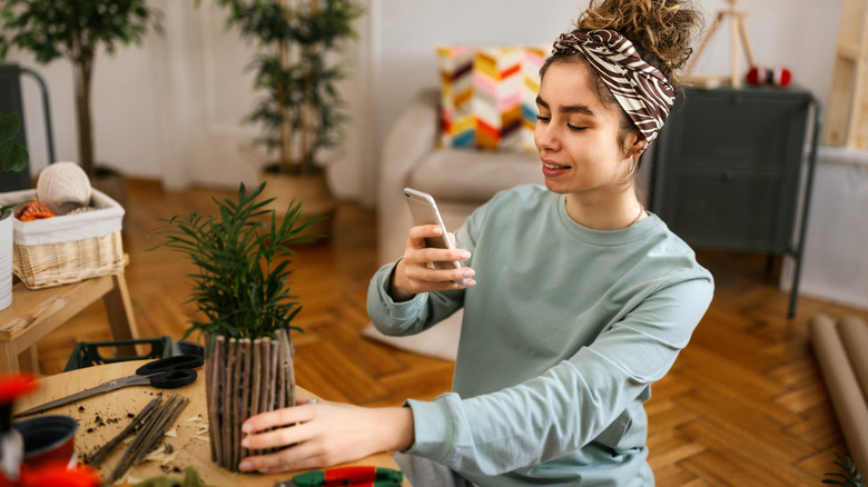 woman taking photo of houseplant